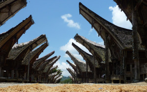 Tana Toraja: le case tipiche a Pallawa