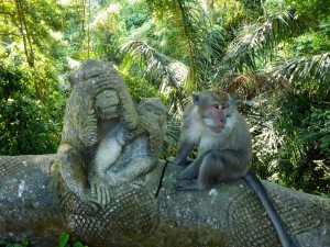 Sacred Monkey Forest a Ubud