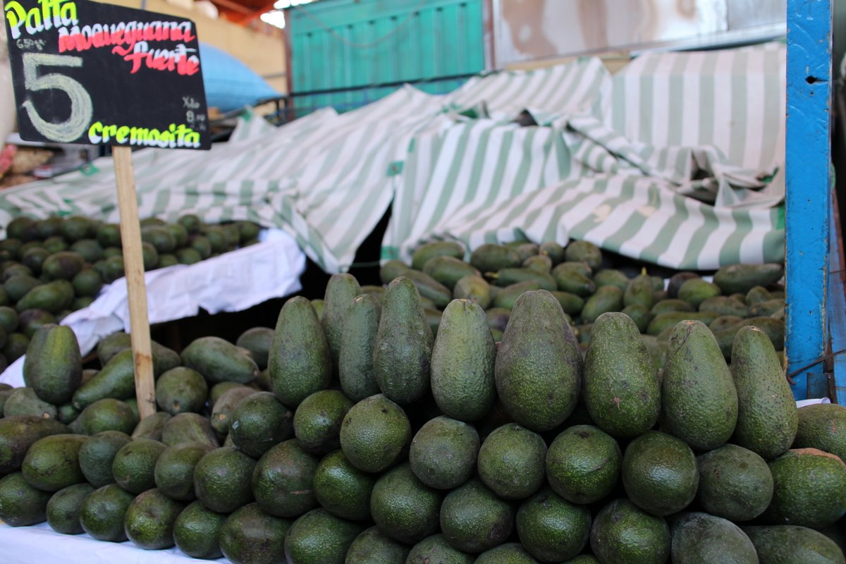 mercato coperto di san camilo: avocado