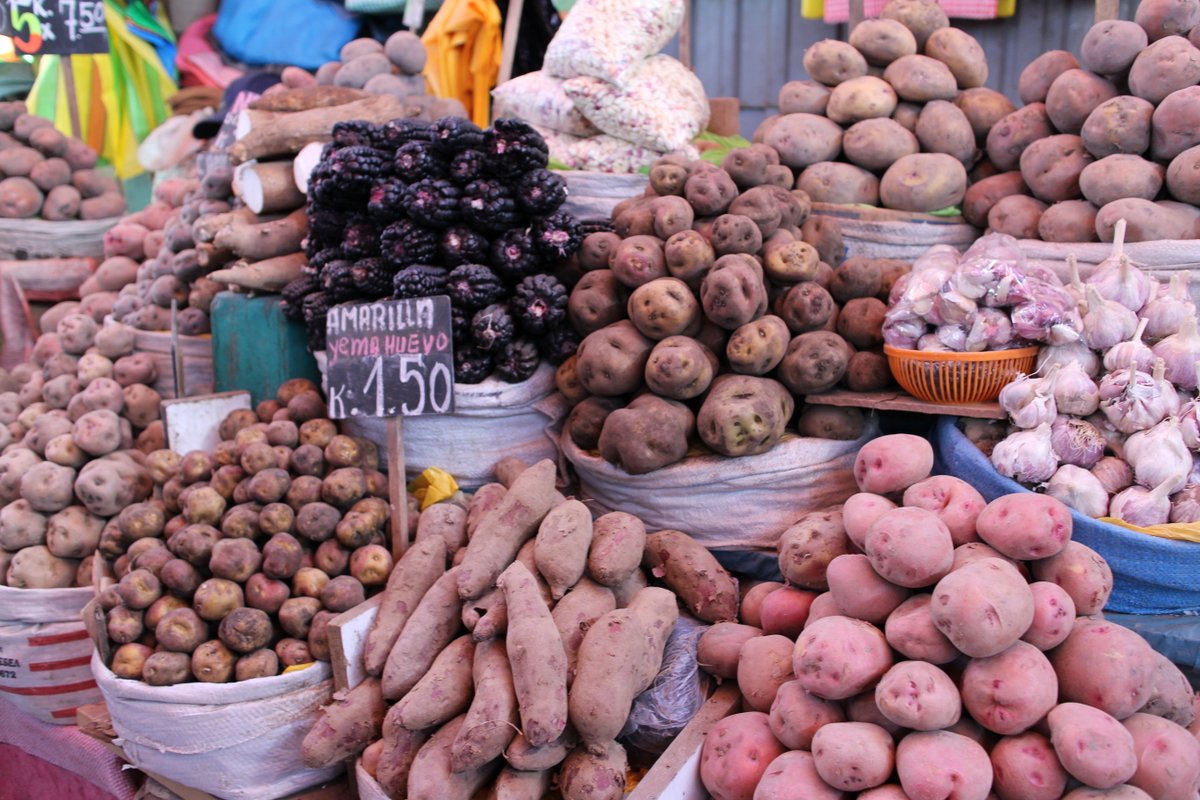 mercato coperto di san camilo: patate