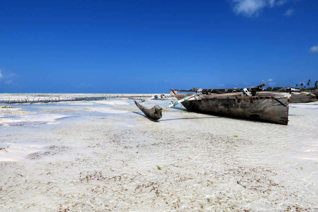 tanzania itinerario fai da te. La spiaggia di Jambiani