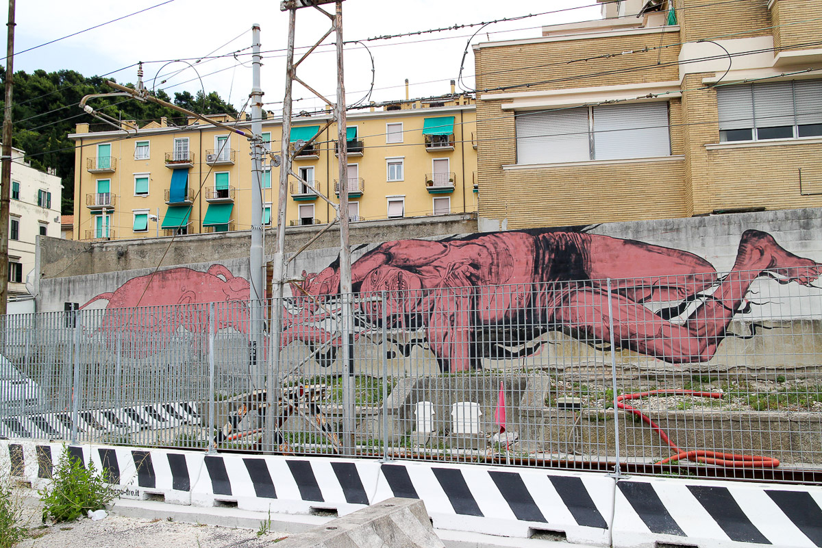 024_street-art_ancona_carapaucostante