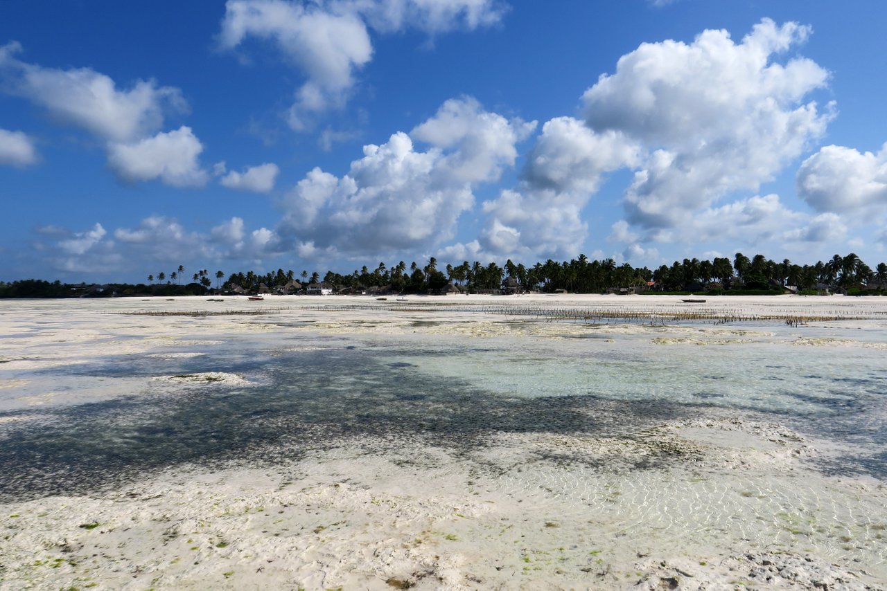 zanzibar fai da te: bassa marea