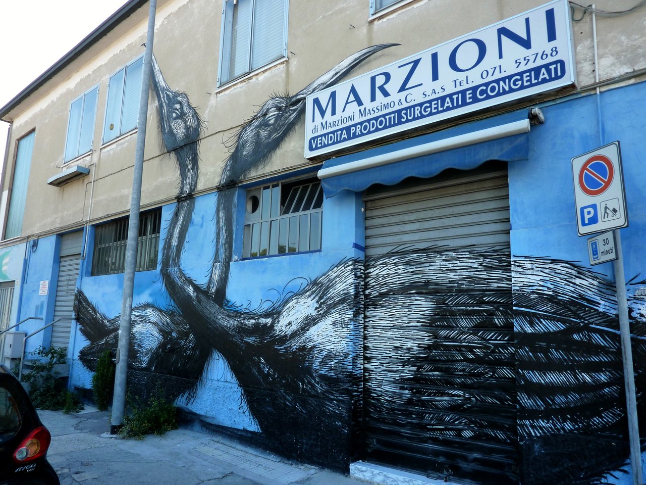 street-art_ancona_carapaucostante-2