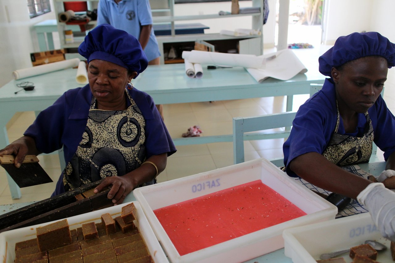 escursini a zanzibar: paje seaweed center