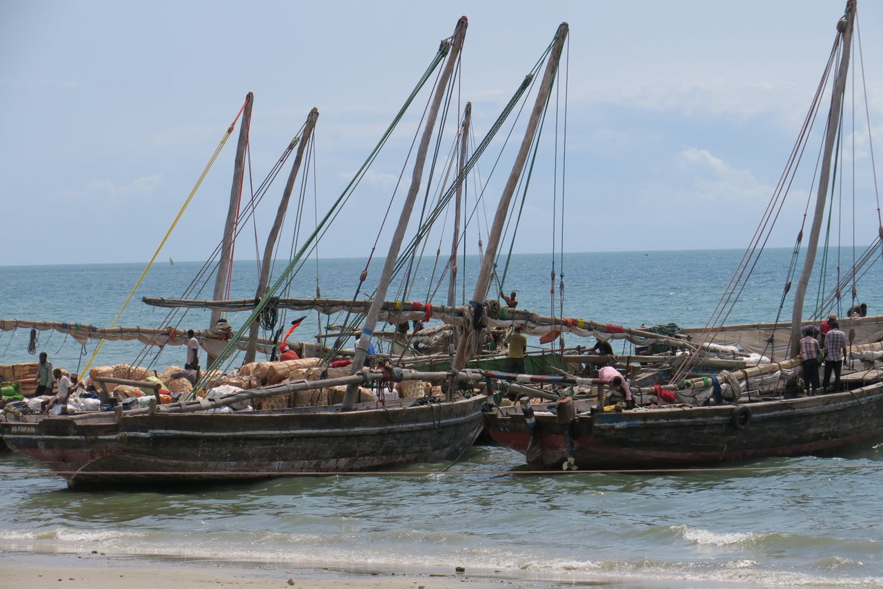 cosa vedere a bagamoyo: pescatori al lavoro