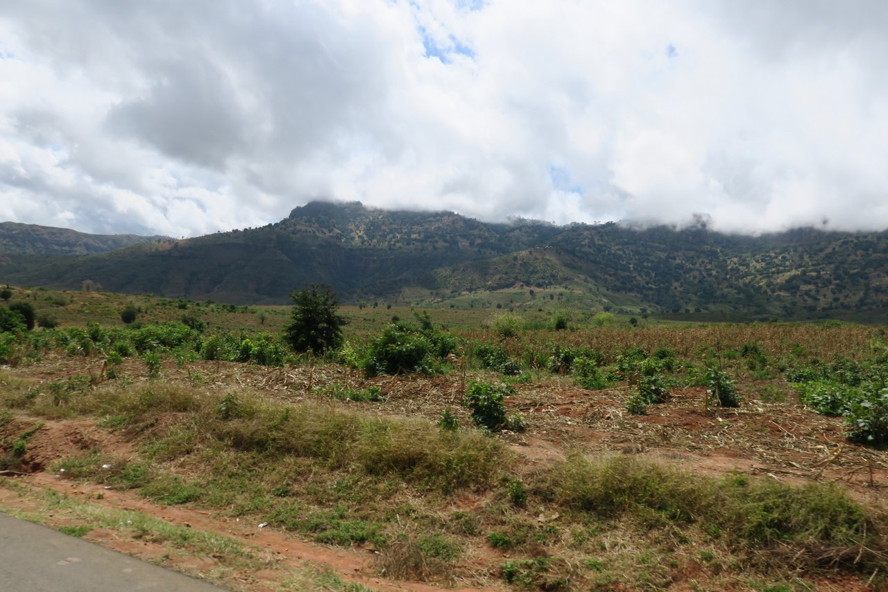 raggiungere-le-montagne-usambara (4)