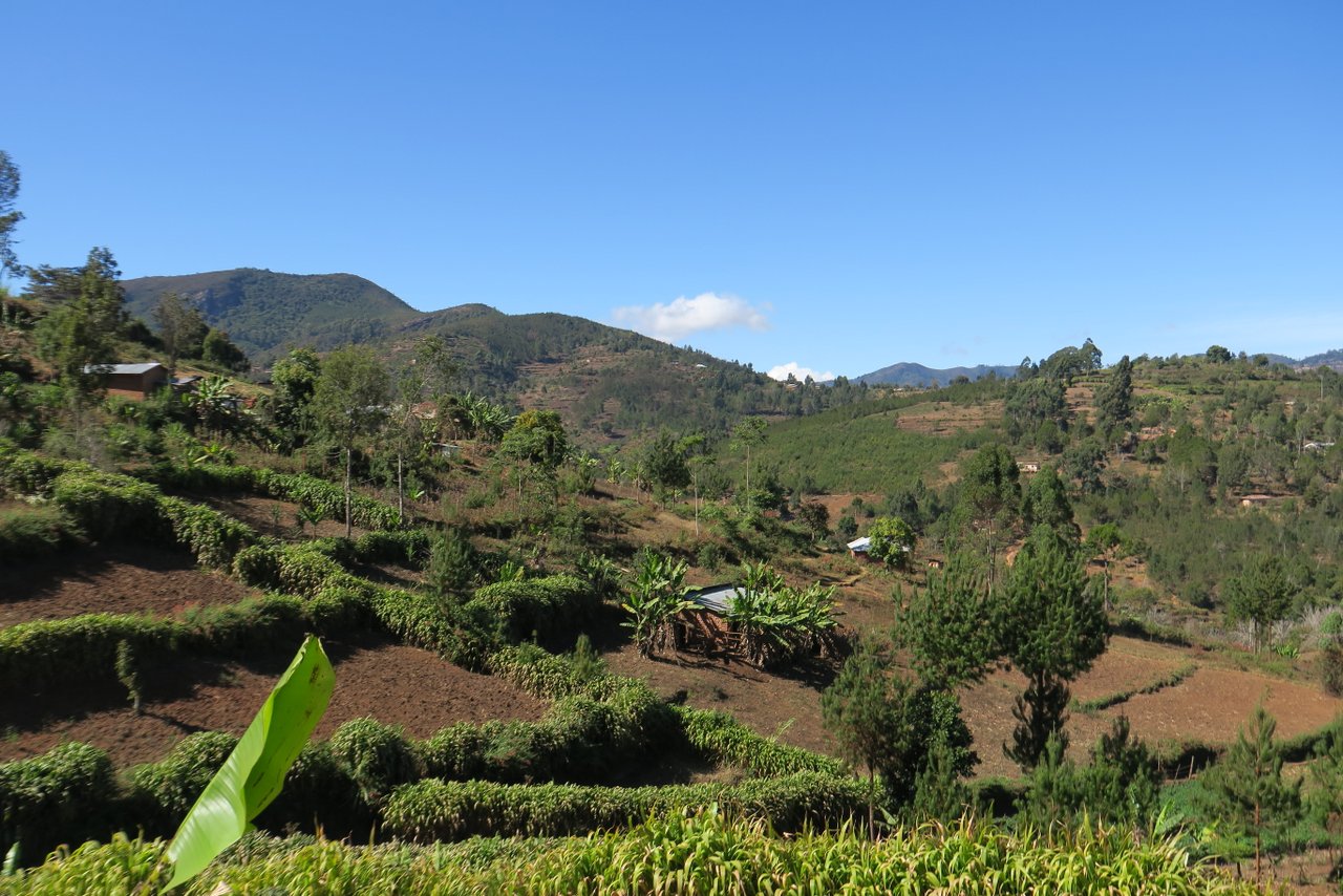 raggiungere-le-montagne-usambara (6)