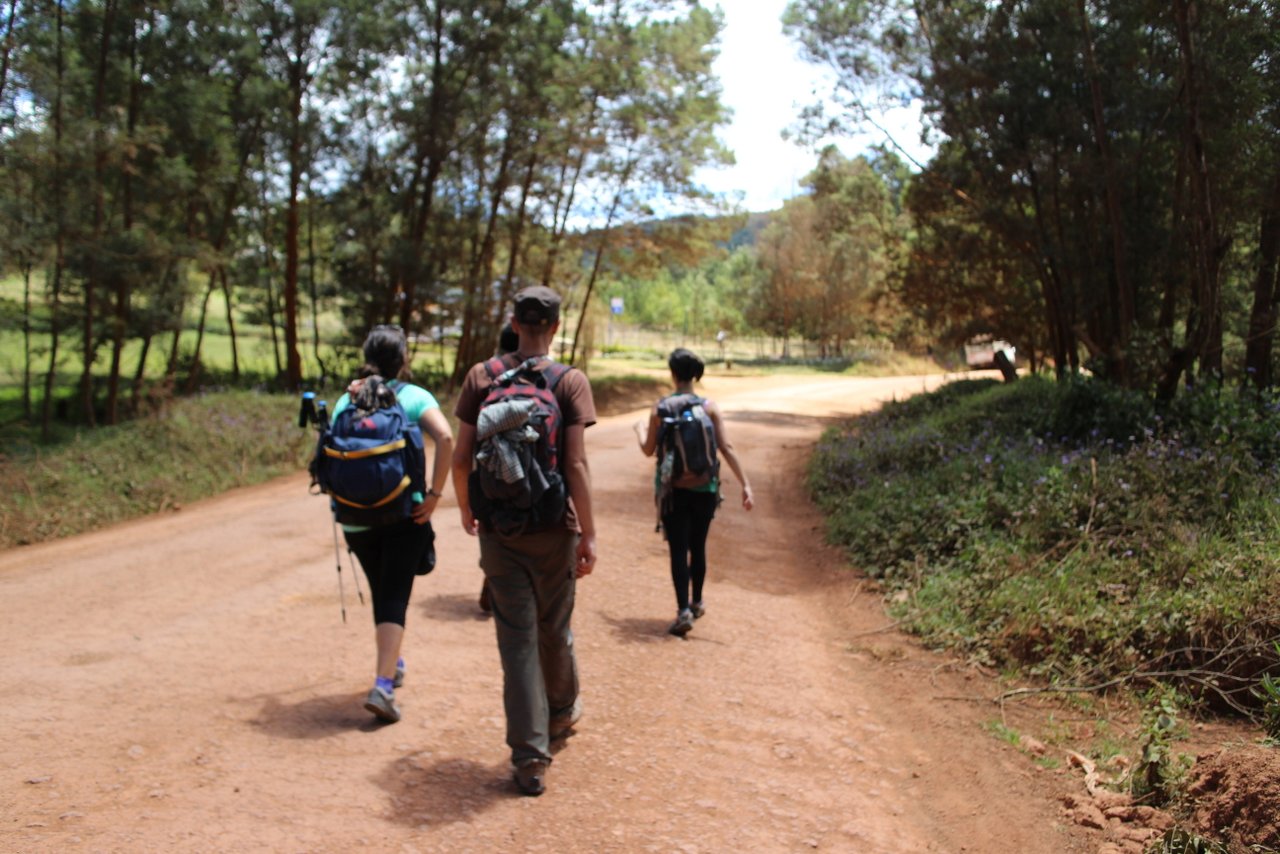 escursione nelle montagne usambara