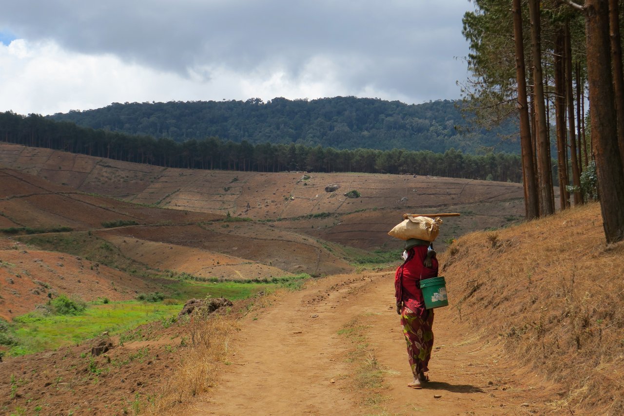 escursione nelle montagne usambara