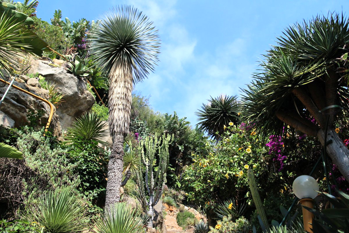 Giardino esotico Pallanca, Bordighera