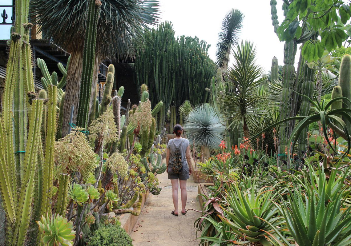 Giardino esotico Pallanca, Bordighera