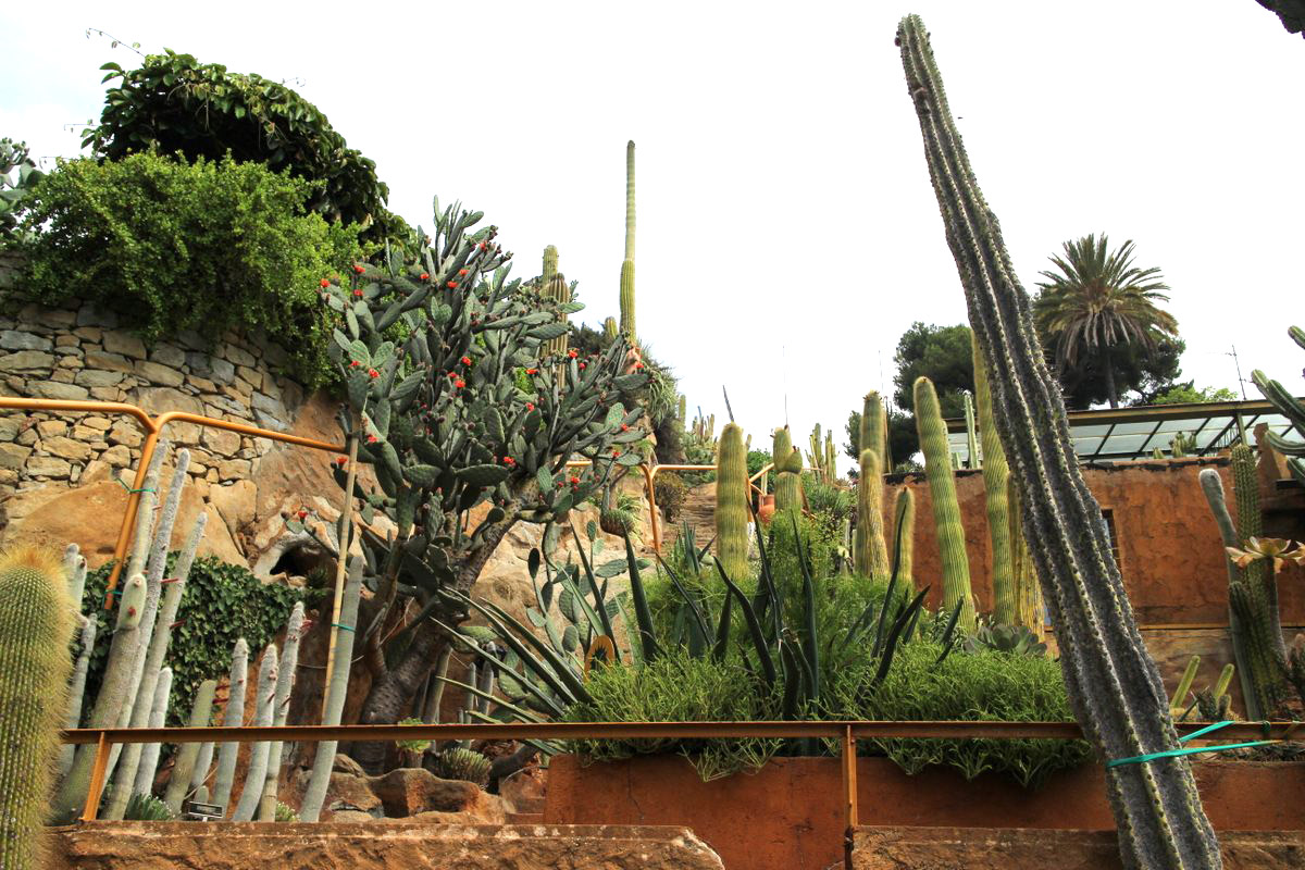 Giardino esotico Pallanca, Bordighera