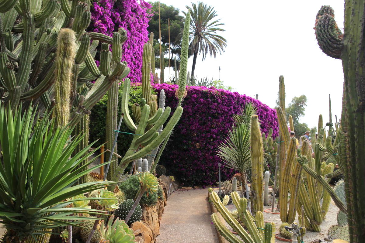 Giardino esotico Pallanca, Bordighera