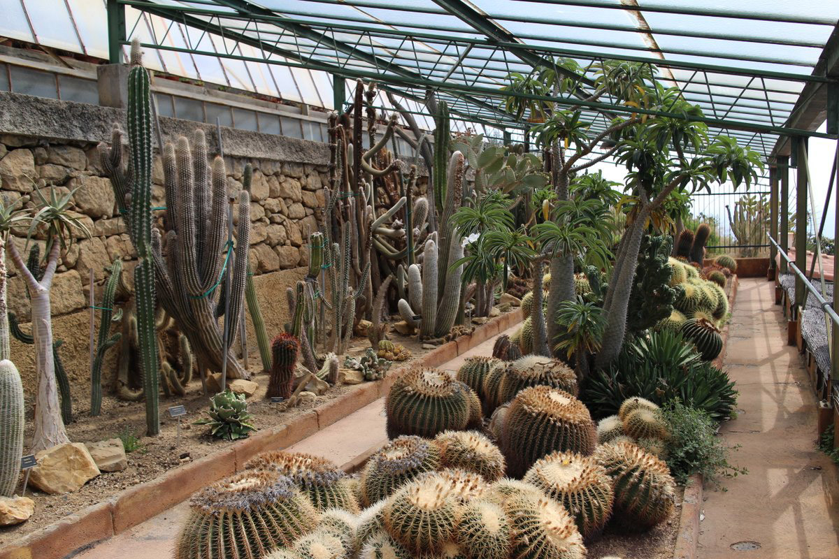 Giardino esotico Pallanca, Bordighera