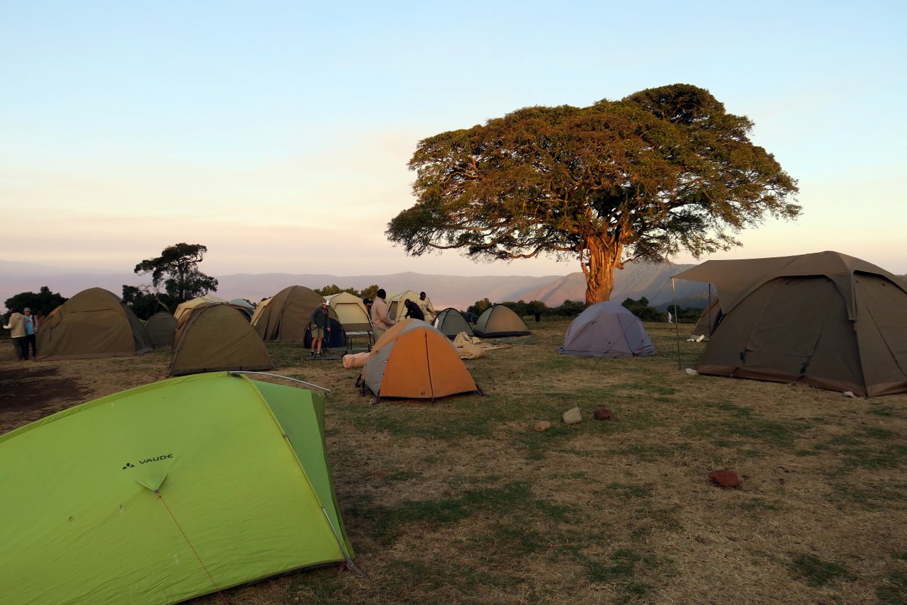 organizzare un safari in tanzania: Il campeggio pubblico del Ngorongoro