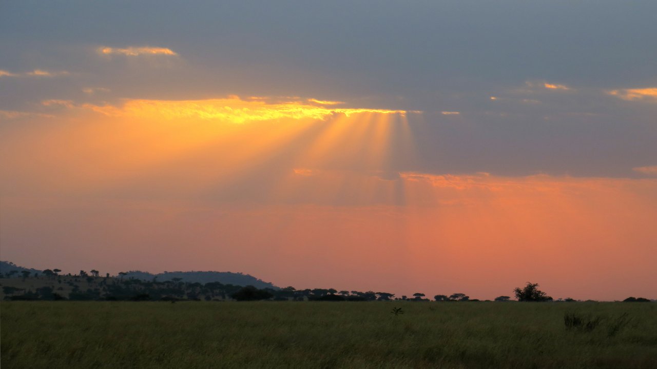 organizzare un safari in tanzania: tramonto nel serengeti