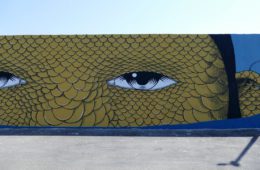 street art civitanova marche: opera di Andrea Casciu
