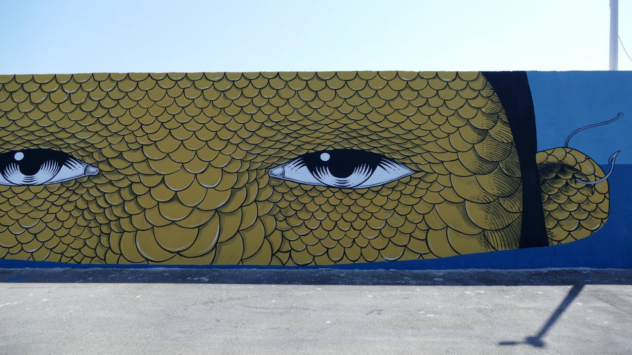 street art civitanova marche: opera di Andrea Casciu