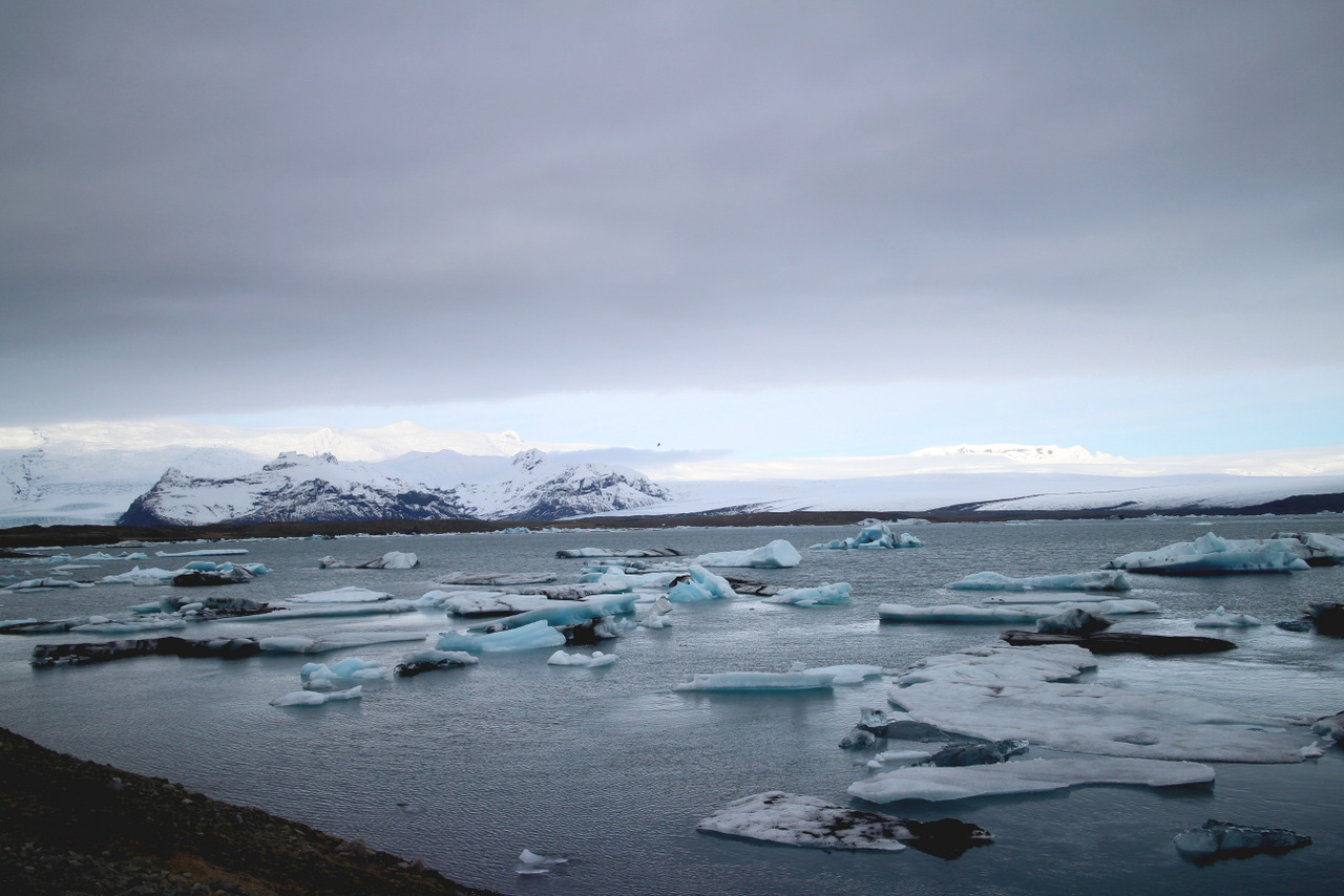 laguna di jokulsarlon