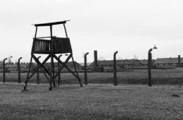 Cracovia: il campo di sterminio di Birkenau